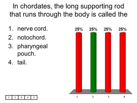 In chordates, the long supporting rod that runs through the body is called the nerve cord. notochord. pharyngeal pouch. tail. 1 2 3 4 5.