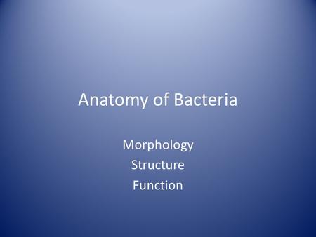 Anatomy of Bacteria Morphology Structure Function.