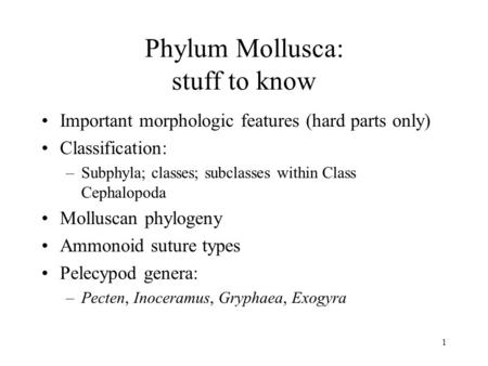1 Phylum Mollusca: stuff to know Important morphologic features (hard parts only) Classification: –Subphyla; classes; subclasses within Class Cephalopoda.