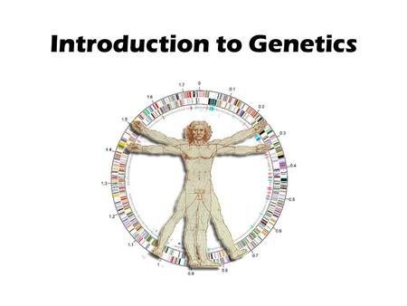 Introduction to Genetics. Fact or Fiction? Man is the highest of the animals; therefore, he has the most chromosomes. FALSE.