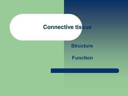 Connective tissue Structure Function.