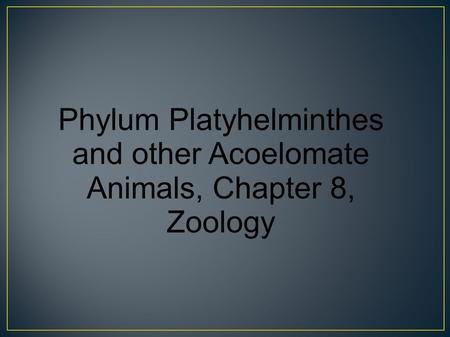 Characteristics of Phylum Platyhelminthes (means “flat worm”)