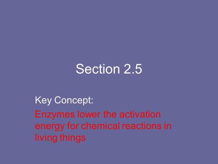 Section 2.5 Key Concept: Enzymes lower the activation energy for chemical reactions in living things.
