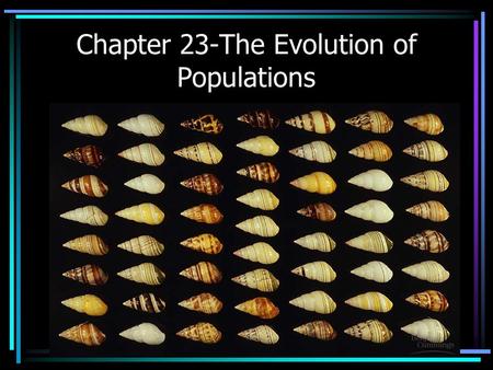Chapter 23-The Evolution of Populations