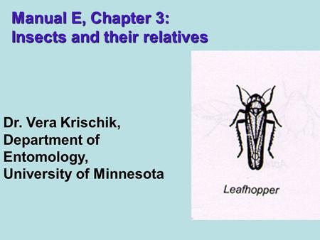 Manual E, Chapter 3: Insects and their relatives Dr. Vera Krischik, Department of Entomology, University of Minnesota.
