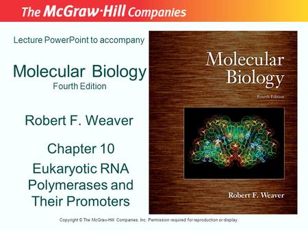 Molecular Biology Fourth Edition Chapter 10 Eukaryotic RNA Polymerases and Their Promoters Lecture PowerPoint to accompany Robert F. Weaver Copyright ©