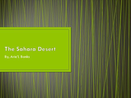 By, Arie’L Banks. Some of the sand dunes can reach 180 meters (590 ft) in height. The name (Sahara) comes from the Arabic word for desert. The Sahara.