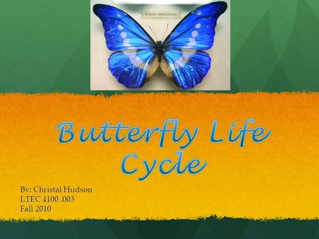 By: Christal Hudson LTEC 4100.003 Fall 2010. Learning Objectives Students will understand the life cycle of butterflies Students will understand the life.