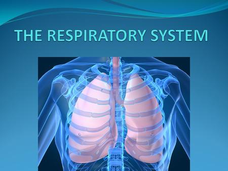 The respiratory system consists of the lungs and air passages. It is responsible for taking in oxygen, a gas needed by all body cells and removing carbon.