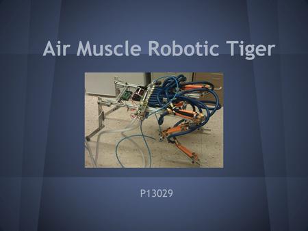 Air Muscle Robotic Tiger P13029. Presentation Agenda Specs and Customer Needs Concept Summary Design Summary System Testing Results Successes and Failures.