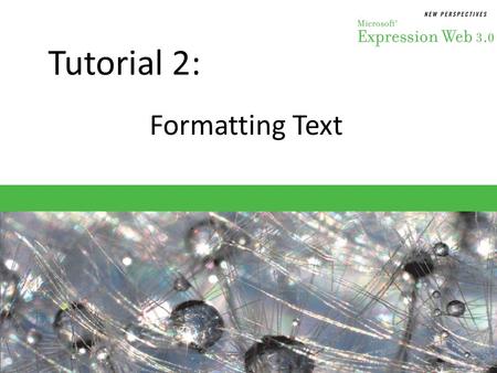 Tutorial 2: Formatting Text. Objectives Session 2.1 – Learn the functions of the Common toolbar – Change the size of text – Discern which fonts to use.