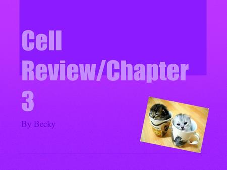 Cell Review/Chapter 3 By Becky. The Cell Cytology is the study of the structure and functions of cells. The cell was first discovered by Robert Hooke.