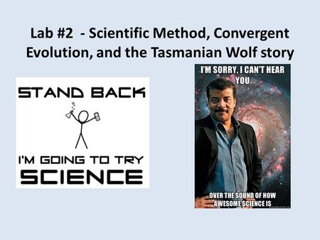 Lab #2 - Scientific Method, Convergent Evolution, and the Tasmanian Wolf story.