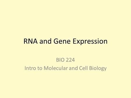RNA and Gene Expression