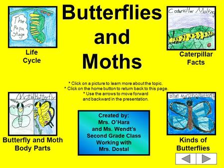 Butterflies and Moths * Click on a picture to learn more about the topic. * Click on the home button to return back to this page. * Use the arrows to.