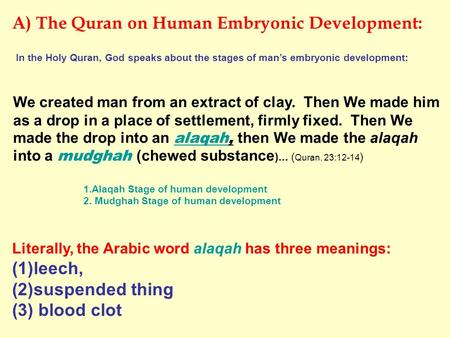 A) The Quran on Human Embryonic Development: In the Holy Quran, God speaks about the stages of man’s embryonic development: We created man from an extract.