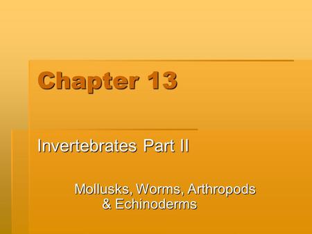Chapter 13 Invertebrates Part II Mollusks, Worms, Arthropods & Echinoderms.
