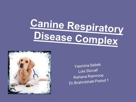 Canine Respiratory Disease Complex