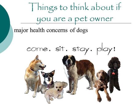 Things to think about if you are a pet owner major health concerns of dogs.