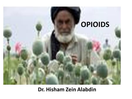 OPIOIDS Dr. Hisham Zein Alabdin. Plant origin  It is the dried extract of the poppy plant: Popover somniferum.  Raw opium typically is composed of at.