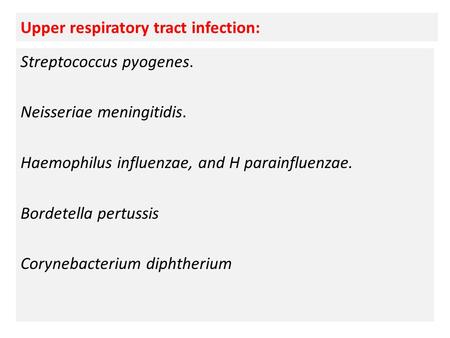 Upper respiratory tract infection: Streptococcus pyogenes. Neisseriae meningitidis. Haemophilus influenzae, and H parainfluenzae. Bordetella pertussis.