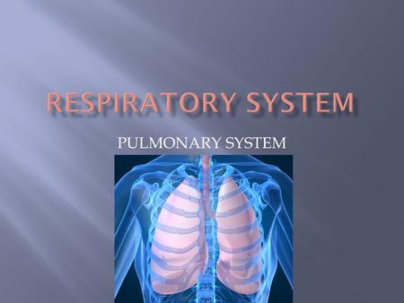 PULMONARY SYSTEM. 1. Making breathing easier 2. Preventing transmission of infection (airborne, droplet)