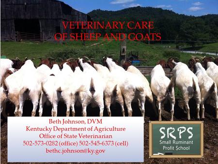 VETERINARY CARE OF SHEEP AND GOATS
