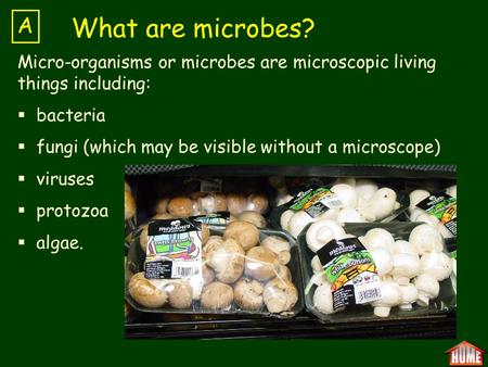Micro-organisms or microbes are microscopic living things including:  bacteria  fungi (which may be visible without a microscope)  viruses  protozoa.