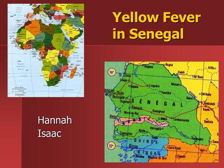 Yellow Fever in Senegal HannahIsaac. Outline Disease Background Disease Background Model Model Comparison with Data Comparison with Data Model Predictions.