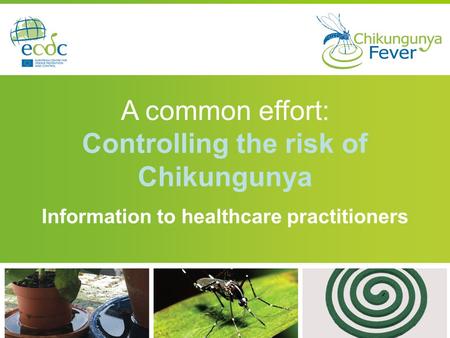 Controlling the risk of Chikungunya