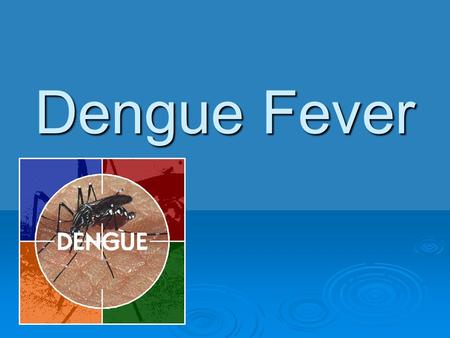 Dengue Fever.