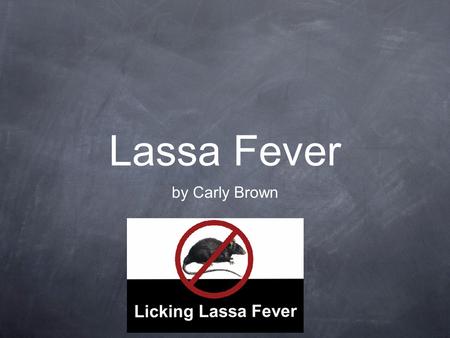 Lassa Fever by Carly Brown.