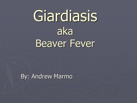 Giardiasis aka Beaver Fever By: Andrew Marmo. Sources ► The MERK Manual ► Google Images ►  /PMH0001333.