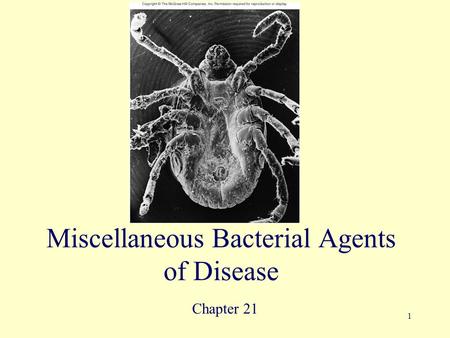 Miscellaneous Bacterial Agents of Disease
