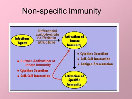 Non-specific Immunity. “First Line” of Defense Physical barrier on all surfaces of body exposed to external world What are they? –Skin –Mucous membranes—nasal,