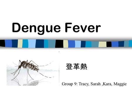 Dengue Fever Group 9: Tracy, Sarah,Kara, Maggie 登革熱.