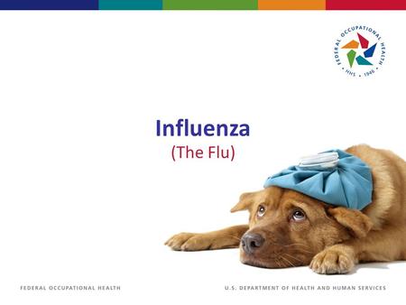 Influenza (The Flu).