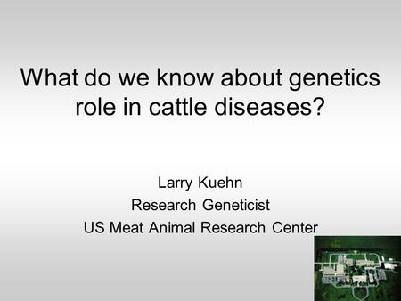 What do we know about genetics role in cattle diseases? Larry Kuehn Research Geneticist US Meat Animal Research Center.