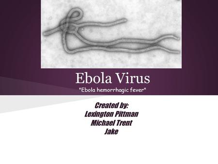 Ebola Virus Ebola hemorrhagic fever Created by: Lexington Pittman Michael Trent Jake.
