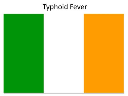 Typhoid Fever. The Irish and the English Originally Ireland existed as a country in its own right with its own language. The vast majority.