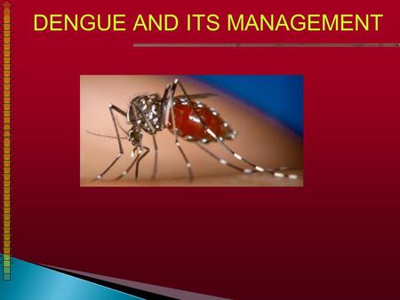 DENGUE AND ITS MANAGEMENT
