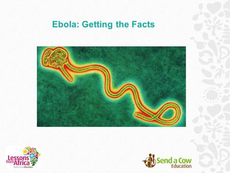 Ebola: Getting the Facts. What do you know about Ebola?