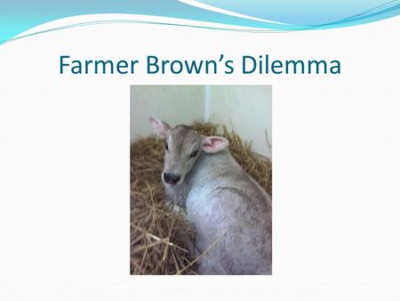 Farmer Brown’s Dilemma. Risks of Overcrowding Increased SCC (Somatic Cell Count) This is an indicator of Mastitis Somatic Cells = White Blood Cells =