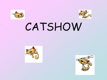 CATSHOW. the purpose of the show: to sell cats to win the trophy entrance fee fun !!!