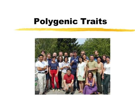 Polygenic Traits. Definition zSome traits are determined by the combined effect of two or more pairs of alleles. These traits are called polygenic traits.