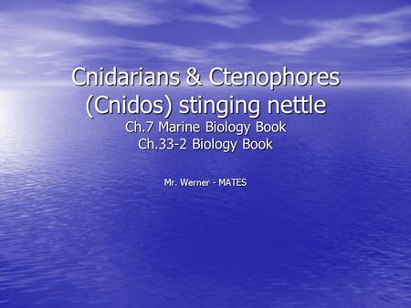 Cnidarians & Ctenophores (Cnidos) stinging nettle Ch