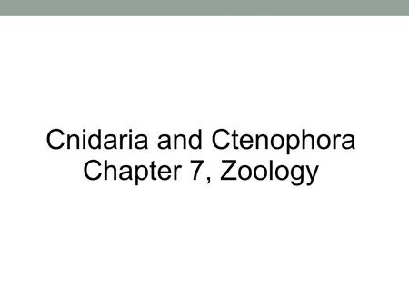 Cnidaria and Ctenophora
