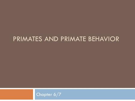 PRIMATES AND PRIMATE BEHAVIOR Chapter 6/7. Predisposition  The capacity or inclination to do something.  An organism’s capacity for behavioral or anatomical.