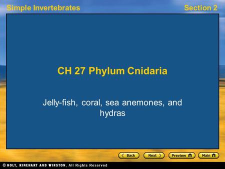 Simple InvertebratesSection 2 CH 27 Phylum Cnidaria Jelly-fish, coral, sea anemones, and hydras.