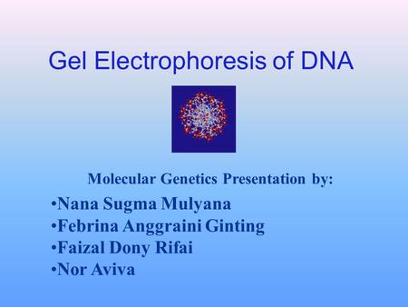 Gel Electrophoresis of DNA Molecular Genetics Presentation by: Nana Sugma Mulyana Febrina Anggraini Ginting Faizal Dony Rifai Nor Aviva.